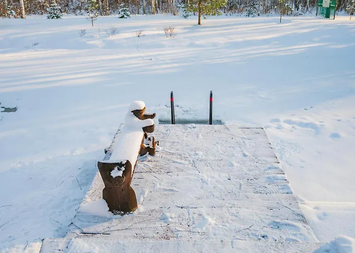 Majutus - Puhkemaja - Hot Tub L Sauna L Bbq Lodge